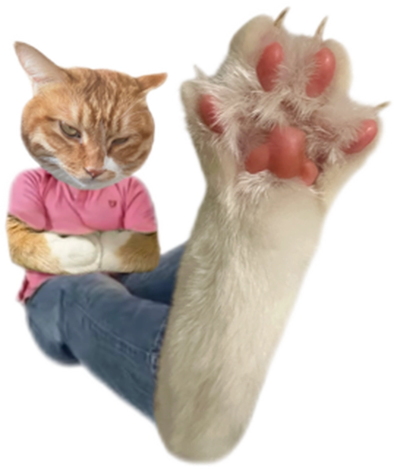 Sticker hài hình ảnh meme viral con mèo