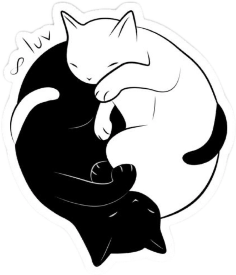Sticker trắng đen cute 2 con mèo ôm nhau