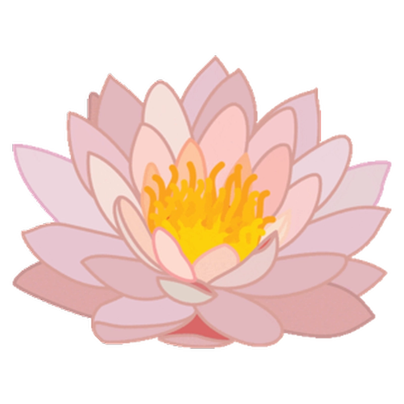 Nhãn dán sticker hoa vibe thiên nhiên trong trẻo